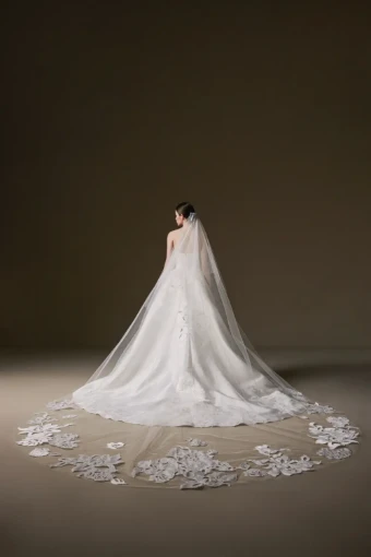 La Premiere Chandra Veil #1 thumbnail