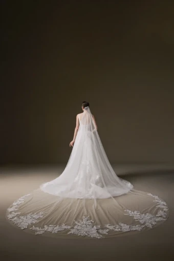 La Premiere Carissa Veil #1 thumbnail